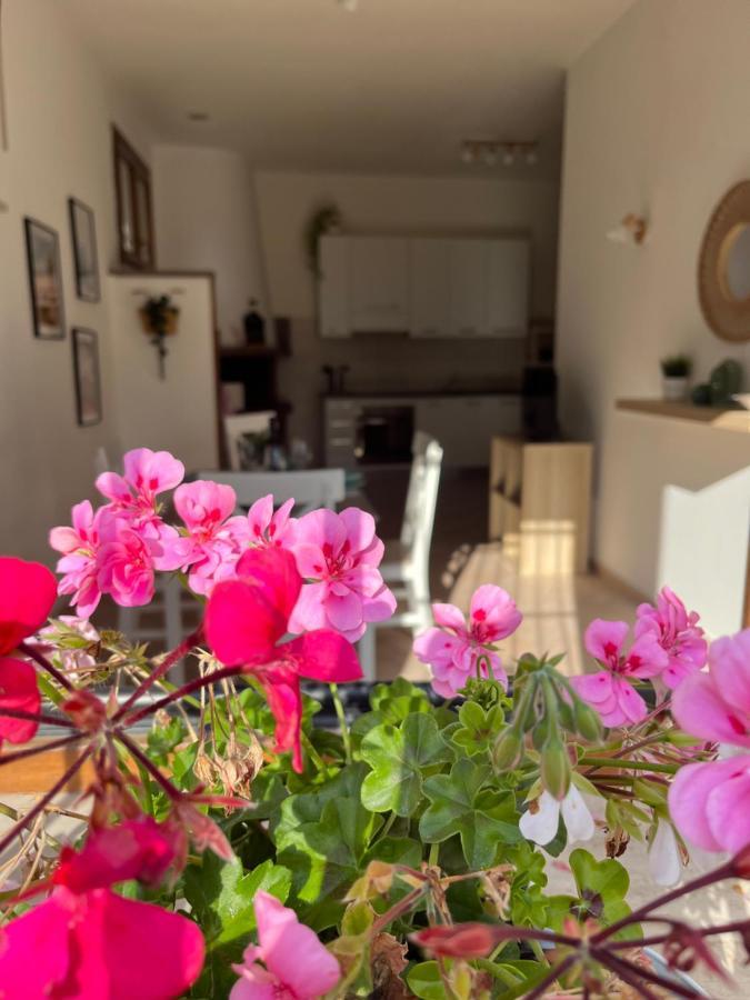 Apartmán Casa Saline Tarquinia Exteriér fotografie